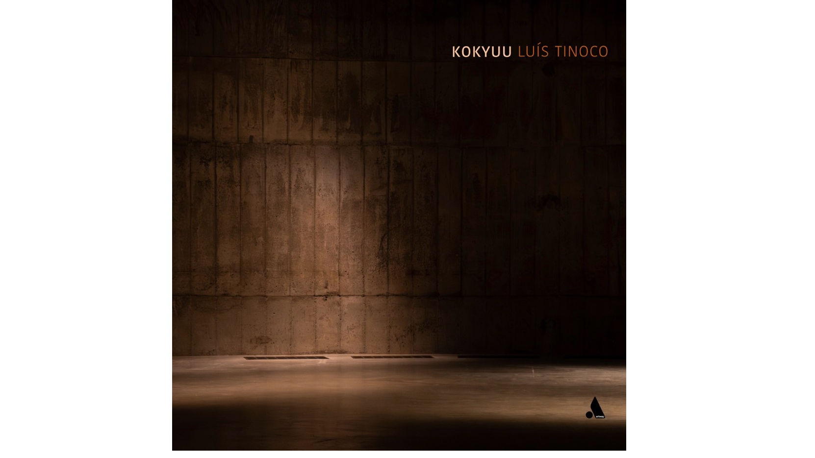 Luís Tinoco vence Prémio Play com “KOKYUU”